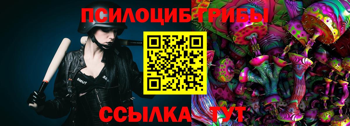 Псилоцибиновые грибы мицелий Златоуст