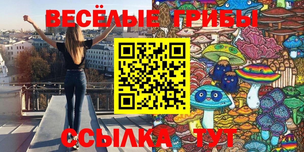 Златоуст  Галлюциногенные грибы Psilocybine cubensis  Вход с VPN 